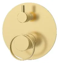 MON/ DUCHA/ 2 FUNC REGINA GOLD SATIN